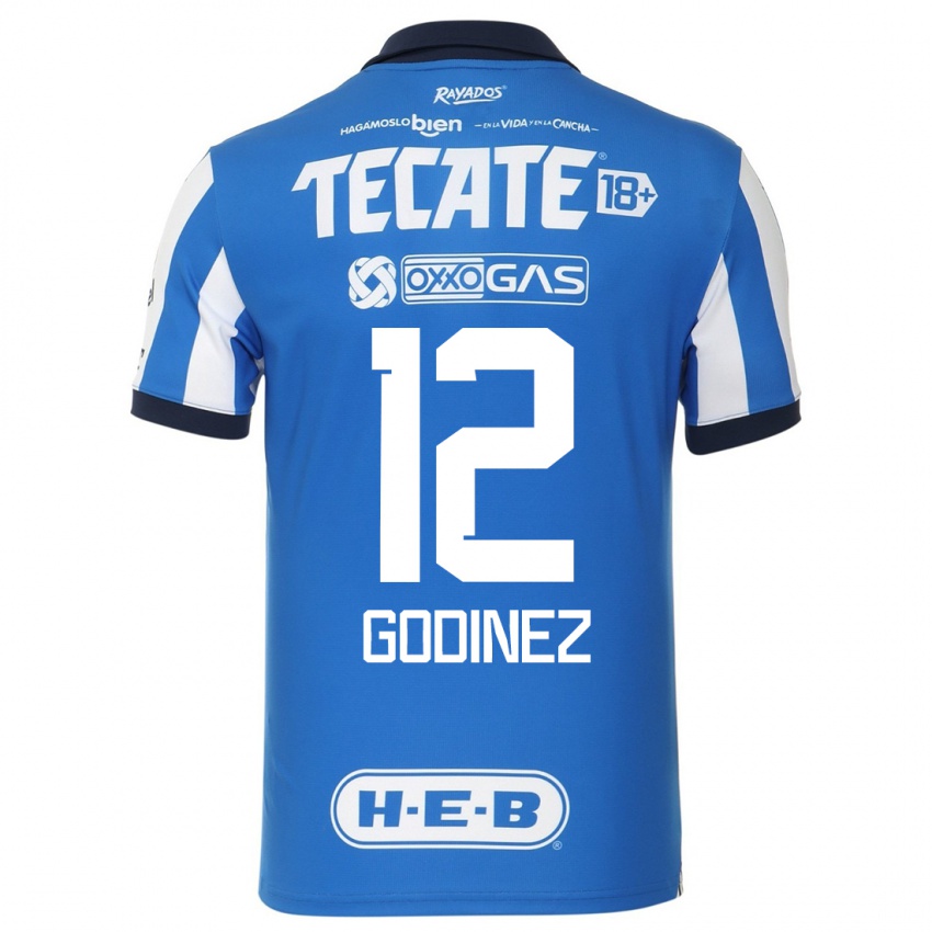 Niño Camiseta Alejandria Godinez #12 Azul Blanco 1ª Equipación 2023/24 La Camisa México